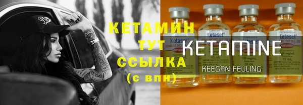 трава Няндома