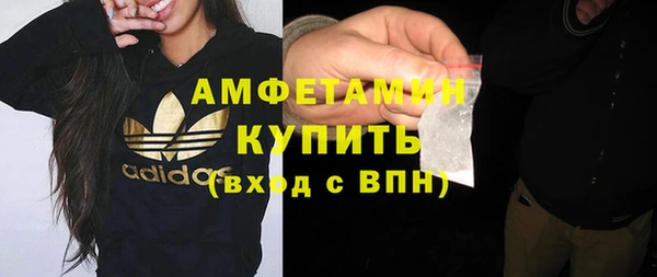 трава Няндома