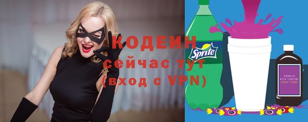 трава Няндома