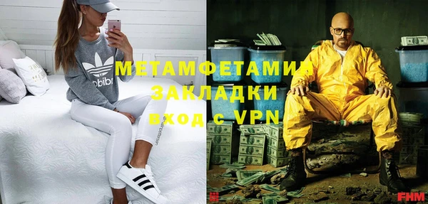 трава Няндома