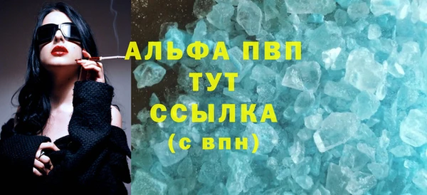 трава Няндома