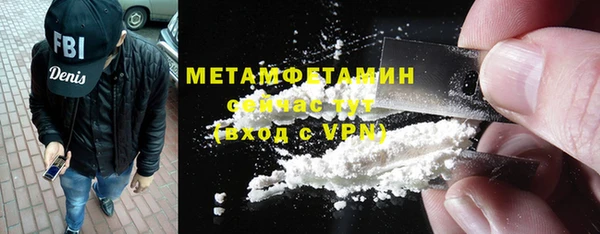 трава Няндома