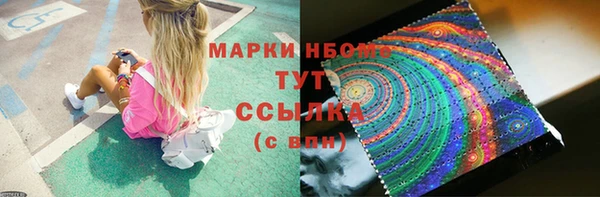 трава Няндома