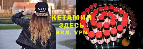 трава Няндома