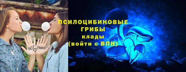 дживик Нягань